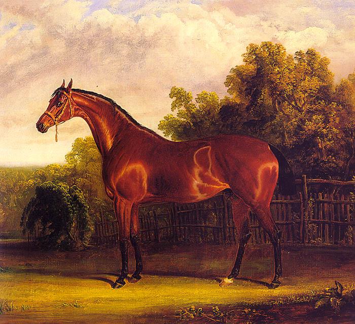 John F Herring Negotiator, the Bay Horse in a Landscape